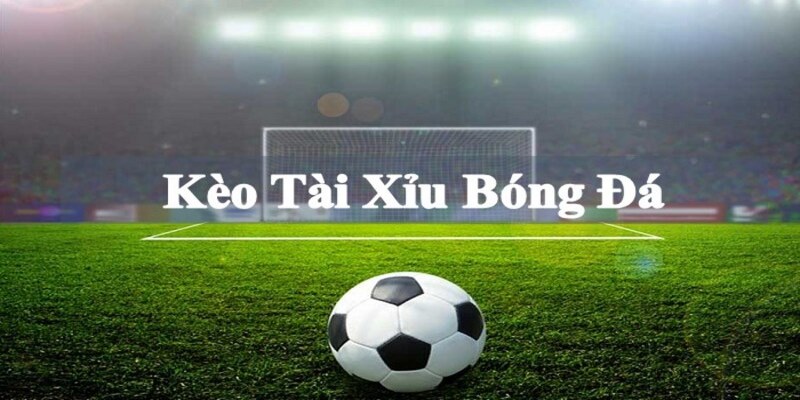 Kèo tài xỉu 2.5 trái là gì trong bóng đá có tỷ lệ ăn thưởng cực cao