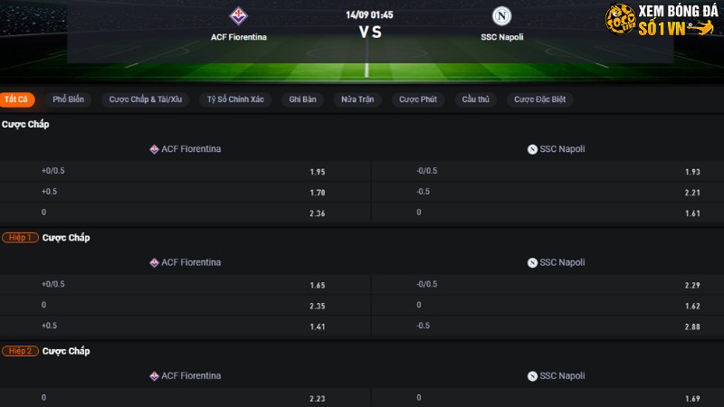 Fiorentina vs Napoli