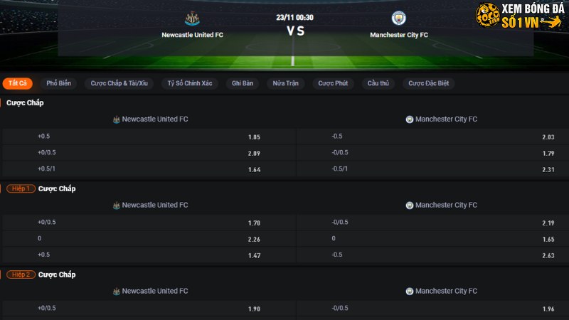 Newcastle vs Man City