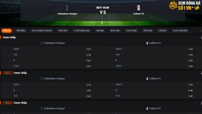 Tottenham vs Fulham