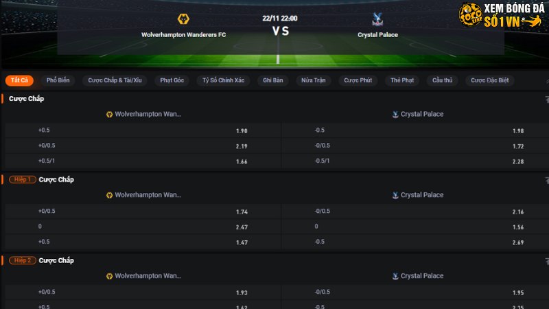 Wolves vs Crystal Palace